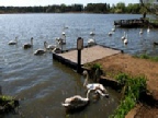 Fleet Pond